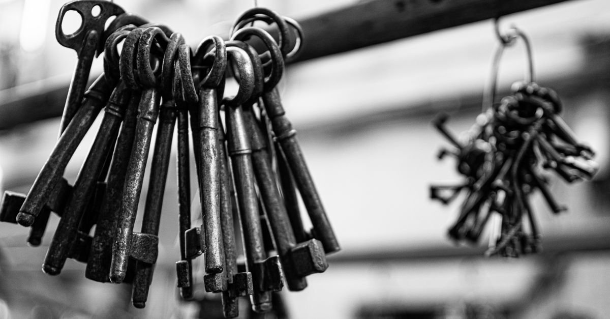How Master Key Systems Work for Manhasset Businesses — Manhasset Locksmith